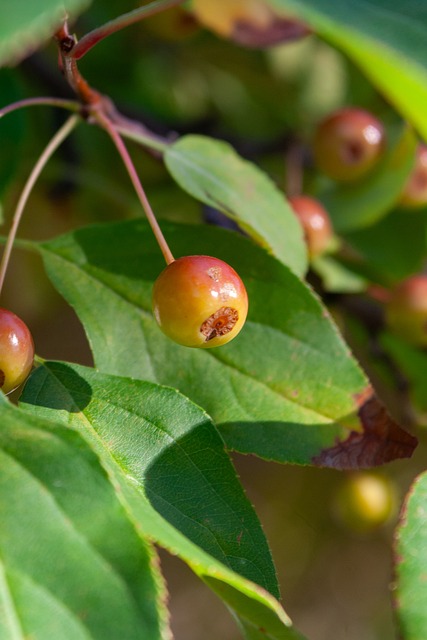 冲突细节曝光！太阳主帅称霍姆格伦先撞阿伦引发报复