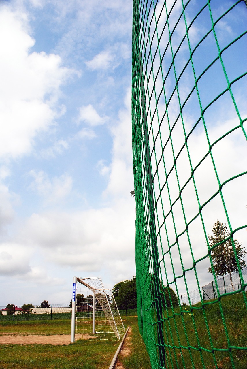 球星：我只是随便投投